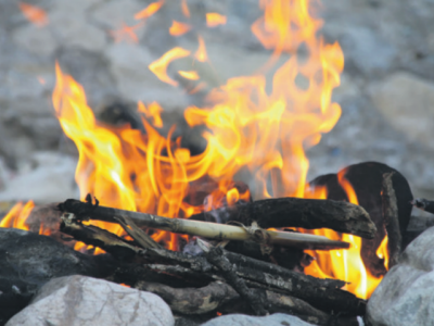 Verbod op stoken in de natuur 