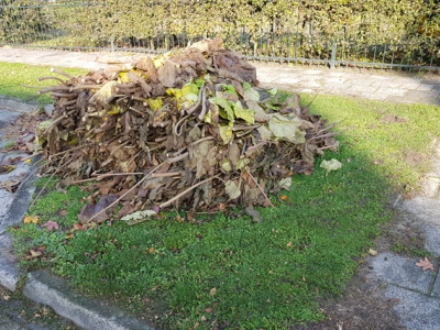 Snoeiafval wegbrengen of laten ophalen