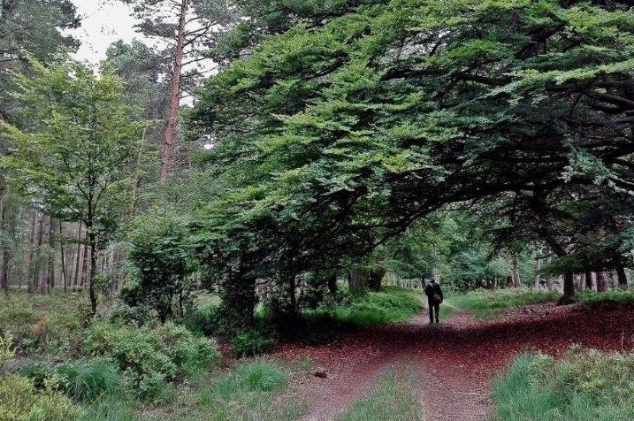 Op zoek naar wild in Leuvenum