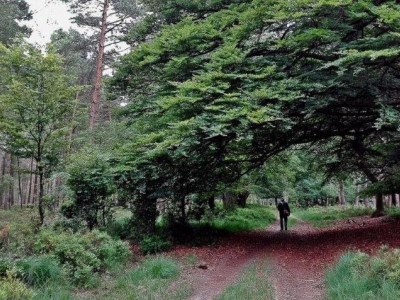 Op zoek naar wild in Leuvenum