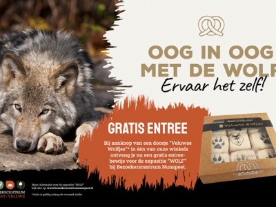 Oog in Oog met de Wolf ervaar het zelf!