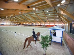 NK Dressuur