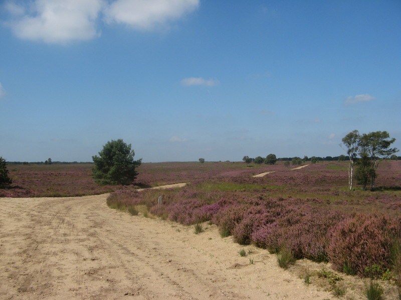 Maak een prachtige fietstocht vanuit Ermelo tijdens de Nazomerfietsdag