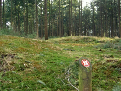 Weinig kans op grafheuvelcentrum in Ermelo