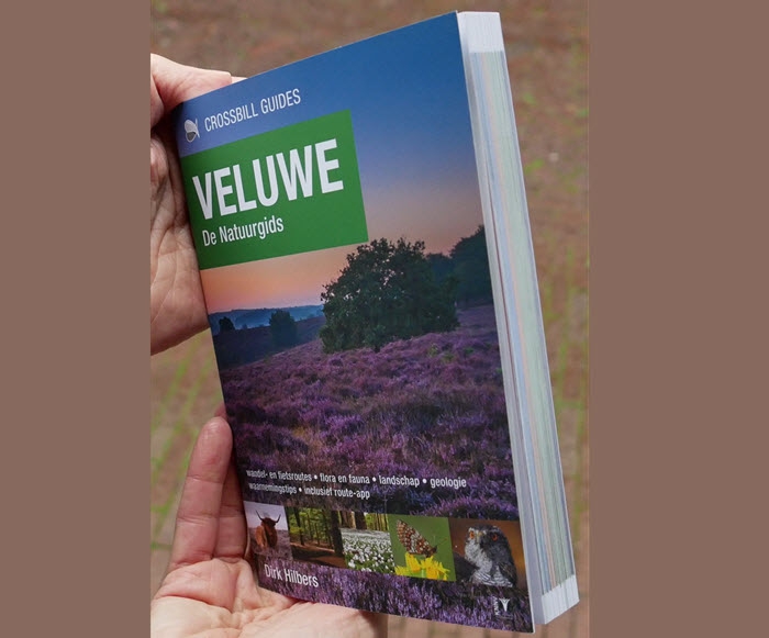 Dé natuurgids voor de Veluwe