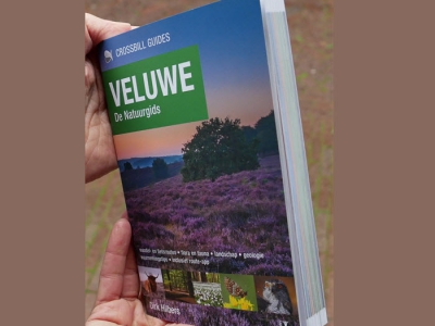 Dé natuurgids voor de Veluwe