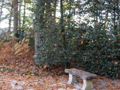 Natuurbegraven straks mogelijk in Ermelo 