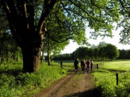 Wandeling op zoek naar wild in Leuvenum