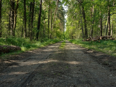 Opknappen zandwegen in Ermelo