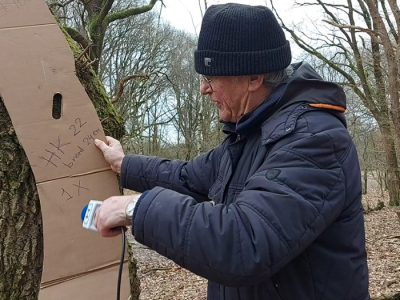 ​Bomen bos Ermelo krijgen tweede leven bij de Botterstichting in Harderwijk