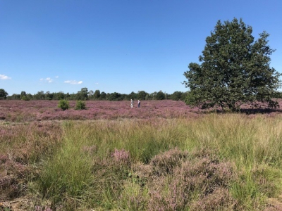 Gemeente Ermelo nodigt ondernemers uit eigen ‘achtertuin’ te ontdekken  