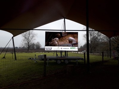 Beelden lammetjes uit de schaapskooi Ermelo