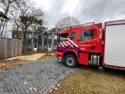 Boom omgevallen op woonzorglocatie Henriette van Heemstrahuis in Ermelo