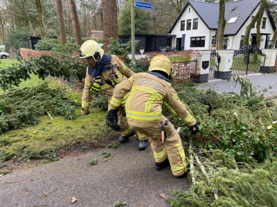 Bomen op de Marijkelaan en Oranjelaan in Ermelo omgewaaid