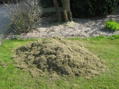 Compost nodig? Maak het zelf! 