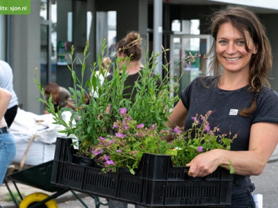 Webinar over subsidie wateropvang en vergroenen tuin en dak op 7 april 