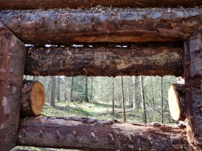 Welkom in de kraamkamer van moeder natuur 