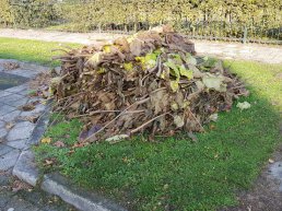 Ophaaldagen snoeiafval gemeente Ermelo
