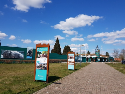 Dolfinarium wil moderne, educatieve dierentuin zijn