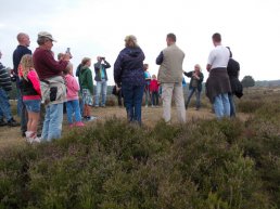 Avondzwerfwandeling