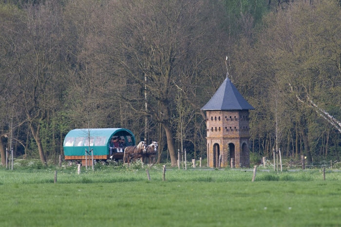 Iedere woensdag een Staverdense Huifkartocht