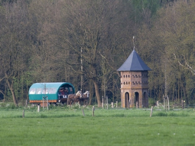 Iedere woensdag een Staverdense Huifkartocht