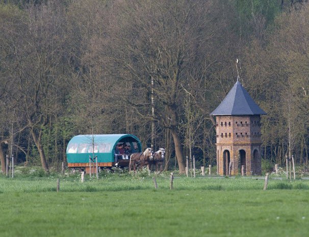 Wat te doen in Ermelo in de maand juli