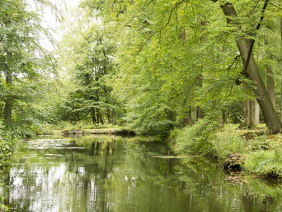 Heide- en boswandeling landgoed Staverden