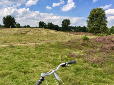 Welke leuke activiteiten zijn er te doen in Ermelo