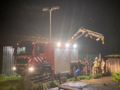 Paard in de problemen door een val