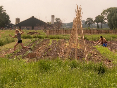 Voedselbos Ermelo: Herstellende landbouw, het gaat steeds beter naarmate je minder doet