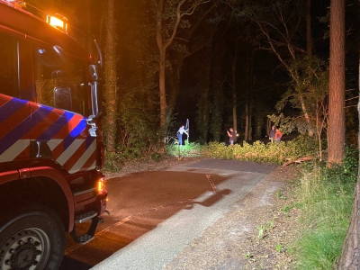 Boom omgevallen op de Horloseweg in Ermelo