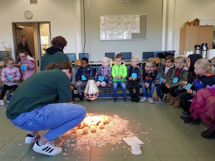 Aai- en knuffeldag op Groevenbeek 1