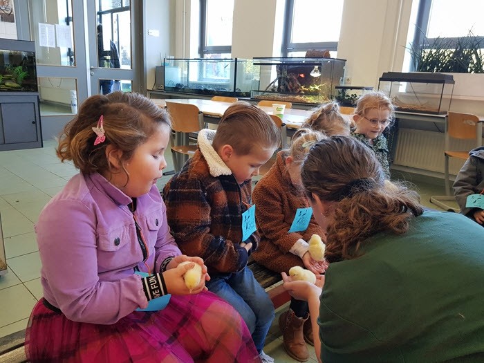 Aai- en knuffeldag op Groevenbeek 3