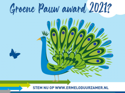Groene Pauw Award 2021: op welke vrijwilliger(s) stemt u?