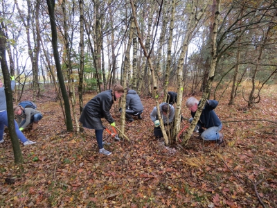 Natuurwerkdag Ermelo op de Groevenbeekse Heide