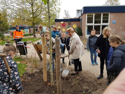 Boomfeestdag gevierd op het groene schoolplein van de Bernhardschool in Ermelo