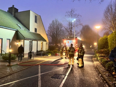 Brandweer haalt kat uit boom