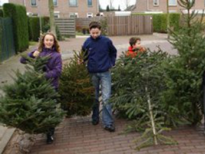 Kerstboom inleveren