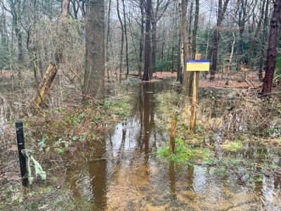 Storm Eunice veroorzaakt veel schade in Ermelo