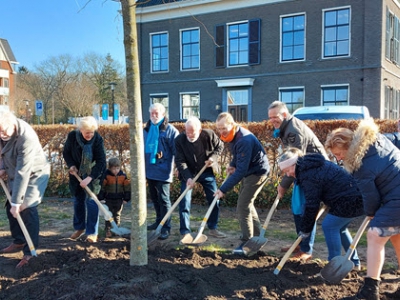 Gemeenteraad van Ermelo plant jubileumboom en kondigen speciaal lied aan