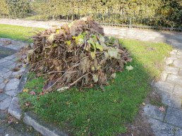 Inleveren van snoeiafval