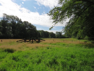 Midzomerwandeling Landgoed Staverden