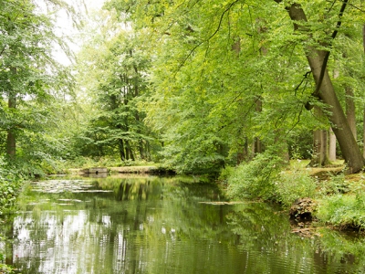 Familiespeurtocht landgoed Staverden