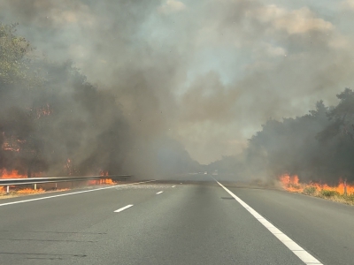 Grote bermbrand A28 tussen Harderwijk en Hierden, vuur overgeslagen naar natuurgebied Beekhuizerzand