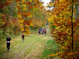 Athlos Hydro Trailrun