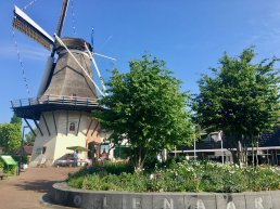 Molen De Koe in Ermelo viert 150ste verjaardag