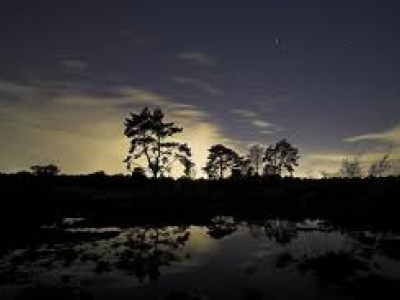 Beleef de Nacht van de Nacht bij Schaapskooi in Ermelo