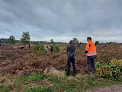 Zo'n 60 mensen helpen mee op de Groevenbeekse heide