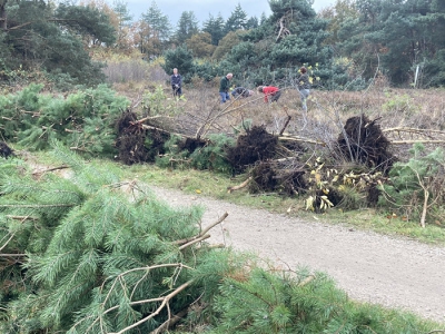 Lustrum Ermelose Natuurwerkdag, Speulderveld 